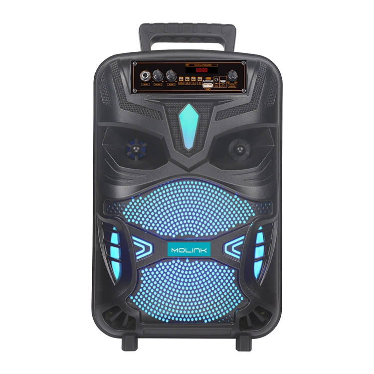 Haut parleur portable, Amplificateur rechargeable avec microphone et telecomonde, Molink ML-S21
