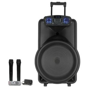 Haut-parleur Portable Amplificateur avec 2 micrphones sans fil