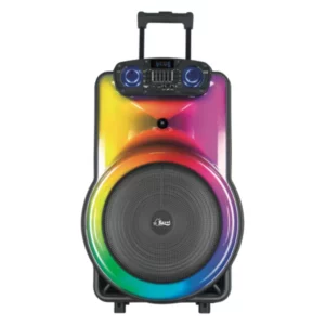 Haut-parleur Portable Amplificateur avec 2 micrphones sans fil