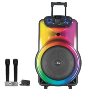 Haut-parleur Portable Amplificateur avec 2 micrphones sans fil