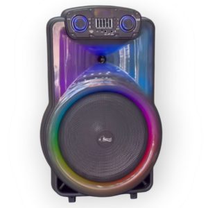 Haut-parleur Portable Amplificateur avec 2 micrphones sans fil – Image 4