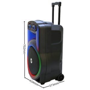 Haut-parleur Portable Amplificateur avec 2 micrphones sans fil – Image 5