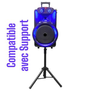 Haut-parleur Portable Amplificateur avec 2 micrphones sans fil – Image 6